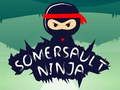 Mchezo Ninja ya Somersault  online