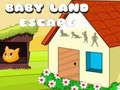 Mchezo Mtoto Ardhi Escape  online