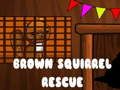 Mchezo Uokoaji wa Squirrel wa Brown  online