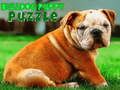Mchezo Bulldog puzzle online