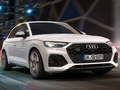 Mchezo Slaidi ya Audi SQ5 TDI  online