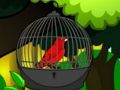 Mchezo Okoa Ndege wa Cage  online