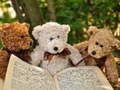 Mchezo Cuddly Tatu Teddy Jigsaw  online