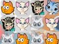 Mchezo Kittens Mechi3  online