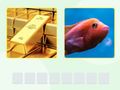 Mchezo Picha online
