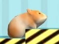 Mchezo Hamster Ili kuthibitisha  online
