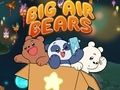 Mchezo Big Air Dubu  online