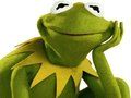 Mchezo Kitabu cha Kuchorea cha Kermit the Frog  online