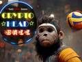 Mchezo Mpira wa Kichwa wa Crypto  online