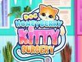 Mchezo Doc Honeyberry Kitty upasuaji online