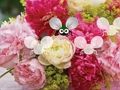 Mchezo Kutoroka kwa blossom online