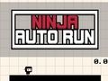Mchezo Ninja Auto Run online
