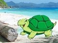 Mchezo Beach Crab Jozi ya Kutoroka  online