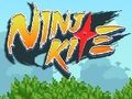 Mchezo Ninja kite online