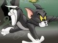 Mchezo Tom na Jerry Chase huko Marsh  online