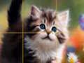 Mchezo Puzzles Sliding Kittens  online
