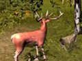Mchezo Kuwinda Stag  online