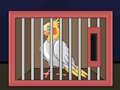 Mchezo Achia Ndege wa Cockatiel  online
