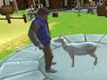 Mchezo Simulator ya Mbuzi wa Kichaa  online