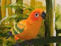 Mchezo Mchezo mzuri wa Budgie  online