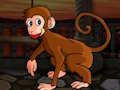 Mchezo Kutoroka kwa macaque online