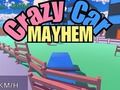 Mchezo Crazy Gari ghasia  online