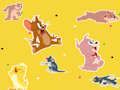 Mchezo Onyesho la Tom na Jerry Ipate!  online