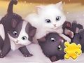 Mchezo Jigsaw Puzzle: Kucheza Paka  online