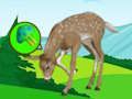 Mchezo Kutoroka kwa Meadow Deer  online
