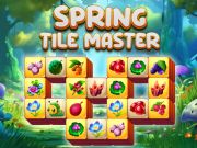 Mchezo Mwalimu wa Tile ya Spring  online