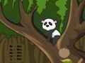 Mchezo Panda jungle kutoroka online