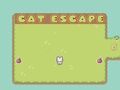 Mchezo Paka Escape  online