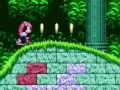 Mchezo Mighty & Ray Katika Sonic 2  online