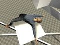 Mchezo Mtihani wa Ragdoll  online