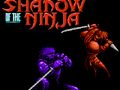 Mchezo Kivuli cha Ninja  online