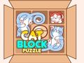 Mchezo Paka Block Puzzle  online