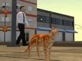 Mchezo Simulator ya Jiji la Paka  online
