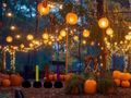Mchezo Kutoroka kwa bustani ya kupendeza ya Halloween online