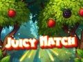 Mchezo Mechi ya Juicy  online