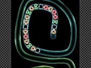 Mchezo TD Neon Risasi  online