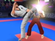 Mchezo Mpiganaji wa Karate online Mchezo Mpiganaji wa Karate online