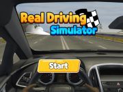 Mchezo Simulator halisi ya kuendesha  online