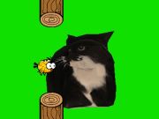 Mchezo Flappy ndege inazunguka oia oia paka  online