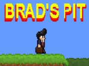 Mchezo Shimo la Brad  online