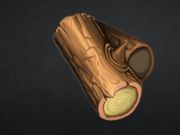 Mchezo Stonecraft  online