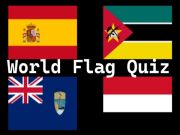 Mchezo Jaribio la bendera ya ulimwengu  online