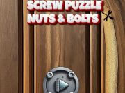 Mchezo Screw puzzle: karanga na bolts  online