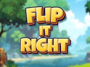 Mchezo Flip it sawa  online