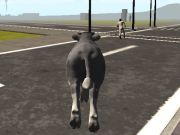Mchezo Crazy Bull City  online