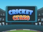 Mchezo Cricket Craze  online